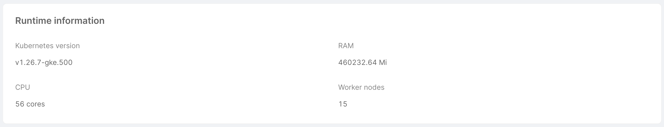 Cluster runtime information